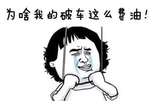 ha tran viet - binh yen tren dao - tp hcm - h15n 